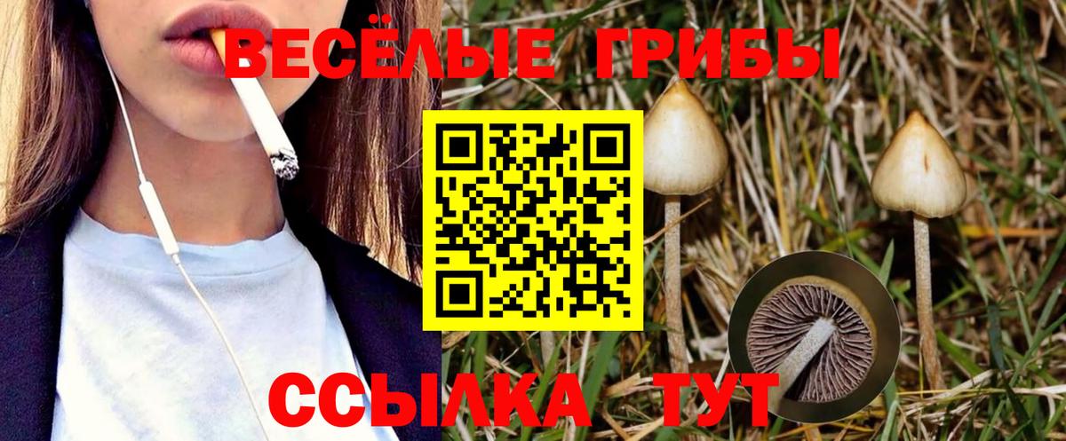 Благодарный  Псилоцибиновые грибы Cubensis  Вход с VPN 